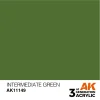 5568303829 AK Interactive – Intermediate Green 17ml – AK11149 - AK Interactive - Ludik Vault