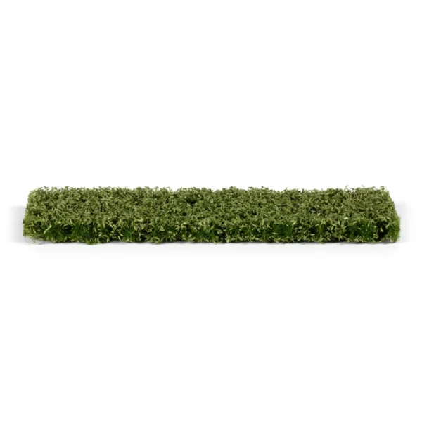 AK Interactive - Leaves and Shrubberry Foliage (Elongated) - AK8144