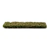 AK Interactive - Beech Foliage Summer - AK8145