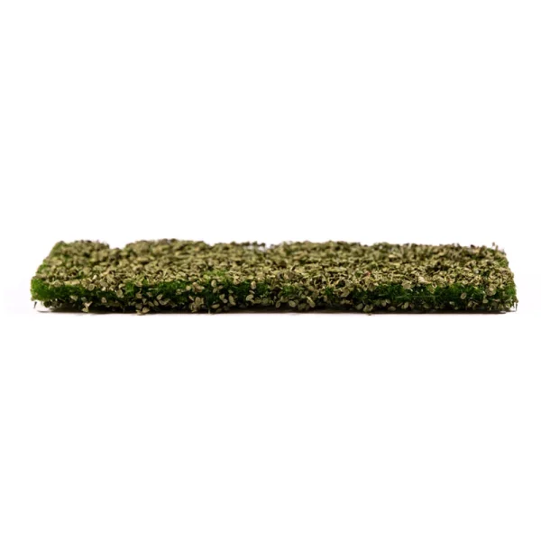 AK Interactive - Beech Foliage Summer - AK8145