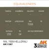 AK Interactive - RAL 7009 Hellgrau - AK11307