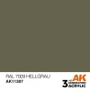 AK Interactive – RAL 7009 Hellgrau – AK11307 - AK Interactive - Ludik Vault