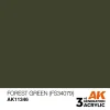 AK Interactive – Forest Green (FS34079) – AK11346 - AK Interactive - Ludik Vault