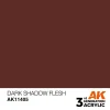 AK Interactive – Dark Shadow Flesh – AK11405 - AK Interactive - Ludik Vault