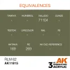 AK Interactive - RLM 62 - AK11815