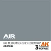 AK Interactive – RAF Medium Sea Grey BS381C/637 – AK11843 - AK Interactive - Ludik Vault