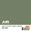 5568315112 AK Interactive – RAF Cockpit Grey-Green – AK11847 - AK Interactive - Ludik Vault