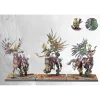 Para-Bellum - Conquest - Hérauts de Hazlia - Old Dominion - Armée de 2000 points