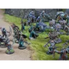 Para-Bellum - Conquest - Warband - Nords - First Blood