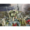 Para-Bellum - Conquest - Warband - Spires - First Blood