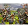 Para-Bellum - Conquest - Warband - W'adrhun - First Blood