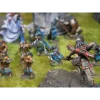 Para-Bellum - Conquest - Warband - Yoroni - First Blood