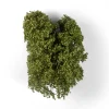 5568331099-1 AK Interactive - SUMMER FILIGREE BUSHES - AK8237