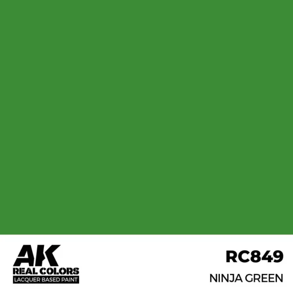 5568336025 AK Interactive – Real Colors: Ninja Green 17 ml. – RC849 - AK Interactive - Ludik Vault