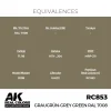 5568336063-1 AK Interactive - Real Colors: Graugrün-Grey Green RAL 7008 17 ml. - RC853