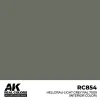 5568336070 AK Interactive – Real Colors: Hellgrau-Light Grey RAL 7009 (interior color) 17 m – RC854 - AK Interactive - Ludik Vault