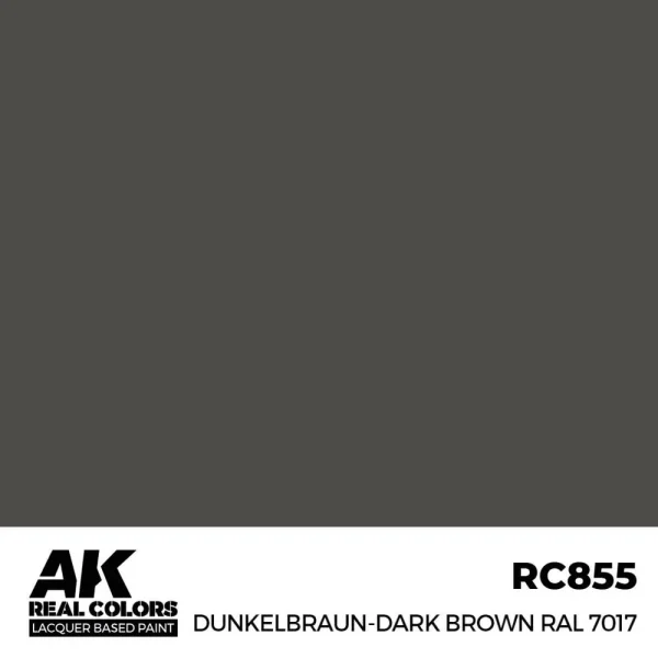 AK Interactive – Real Colors: Dunkelbraun-Dark Brown RAL 7017 17 ml. – RC855 - AK Interactive - Ludik Vault