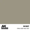 5568336100 AK Interactive – Real Colors: Grau-Grey RAL 7027 17 ml. – RC857 - AK Interactive - Ludik Vault