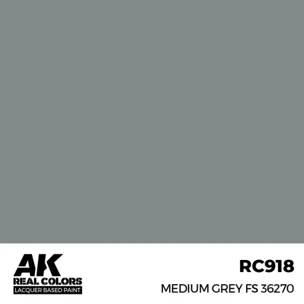 5568336711 AK Interactive – Real Colors: Medium Grey FS 36270 17 ml. – RC918 - AK Interactive - Ludik Vault