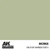 5568337060 AK Interactive – Real Colors: IJN J3 SP (AMBER GREY) 17 ml. – RC953 - AK Interactive - Ludik Vault