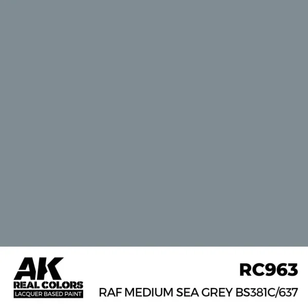 5568337169 AK Interactive – Real Colors: RAF Medium Sea Grey BS381C/637 17 ml. – RC963 - AK Interactive - Ludik Vault