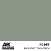 5568337206 AK Interactive – Real Colors: RAF Cockpit Grey-Green 17 ml. – RC967 - AK Interactive - Ludik Vault
