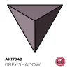 AK Interactive – GREY SHADOW 18 ml – QUICK GEN – AK17040 - AK Interactive - Ludik Vault