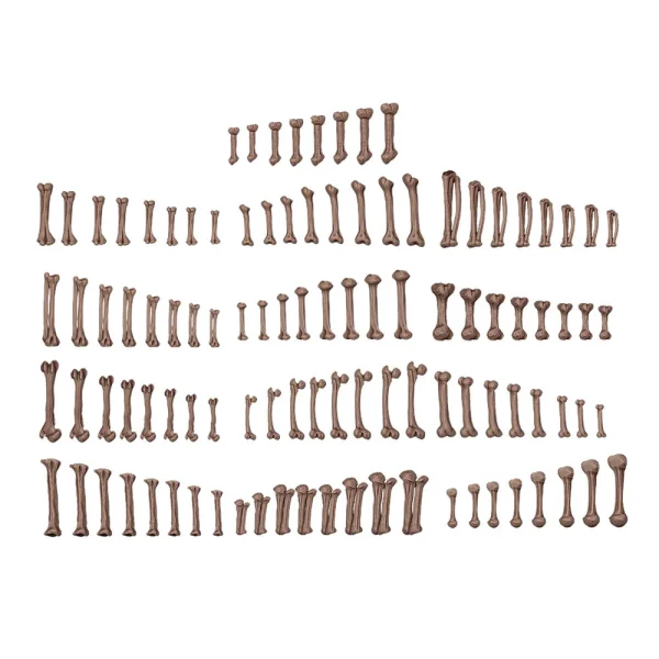 5568352957-2 AK Interactive - HUMAN BONES - BASING BITS 120 pieces - AKBIT0013