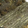 AK Interactive - TERRAINS WET GROUND - 250ml (Acrylic) - AK8016
