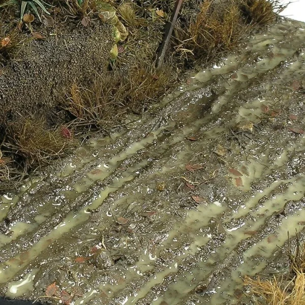 AK Interactive - TERRAINS WET GROUND - 250ml (Acrylic) - AK8016
