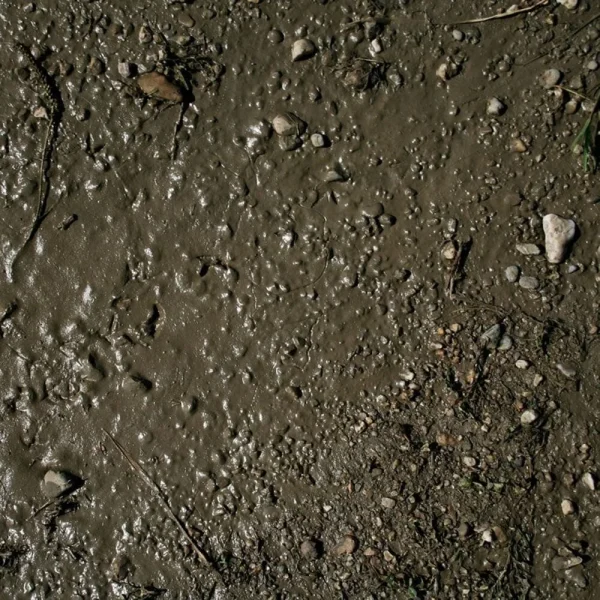 AK Interactive - TERRAINS WET GROUND - 250ml (Acrylic) - AK8016