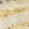 6564921024-2 AK Interactive - TERRAINS DESERT SAND - 250ml (Acrylic) - AK8020