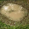 6564921109-1 AK Interactive - PUDDLES - 60ml (Acrylic) - AK8028