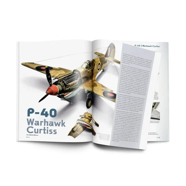 8409511389-16 Vallejo - Weathering Effects on Aircraft Spanish - 75057