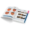 Vallejo - Color BSL System English - 75091