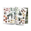Vallejo - Diorama Project 1.2 Figuras Spanish - 75040