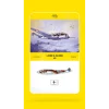 Heller - Liore & Olivier 45 - Heller Museum - 80398