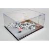 9369849-1 Master Tools - Acrylic Diorama Display Case 316 x 276 x 136mm - 09849